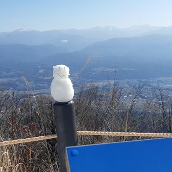 雪だるま置いておいたけど、すぐ溶けちゃうだろうな