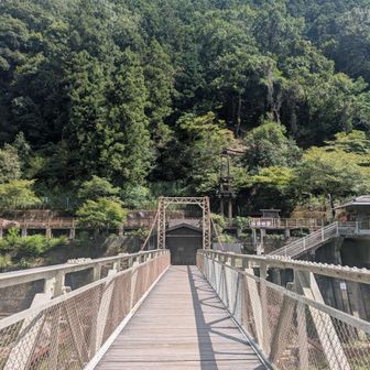 誰もいない吊り橋で、風で橋が揺れるのを感じながら景色を堪能😎
そろそろ戻ります