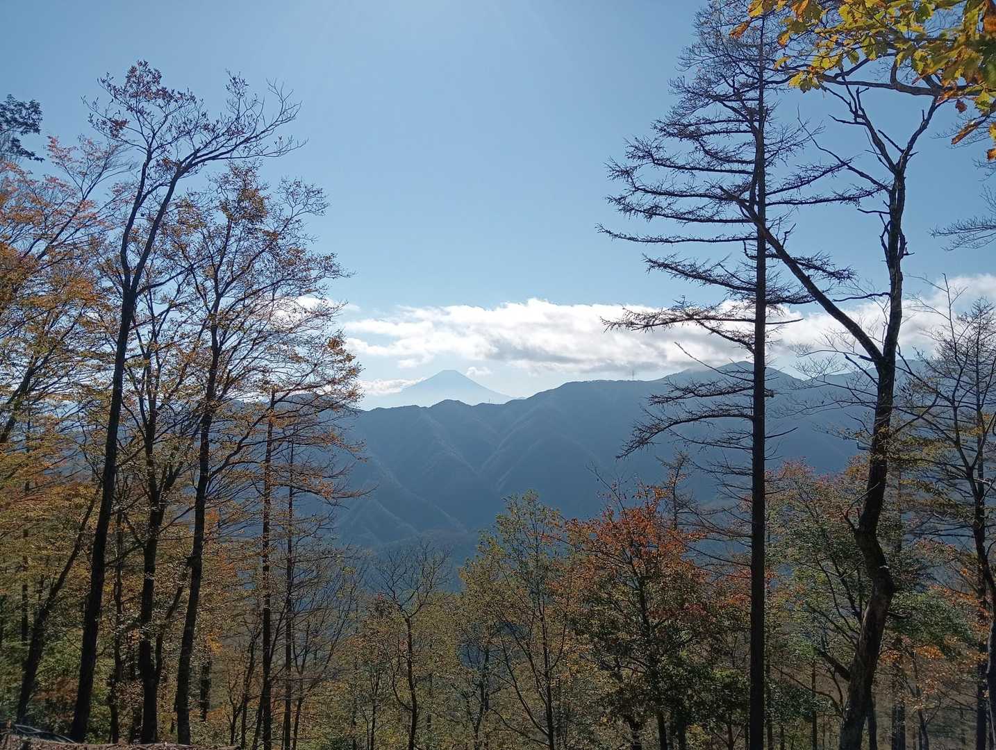 鶴峠-奈良倉山-松姫峠-鶴寝山 縦走コースの写真
