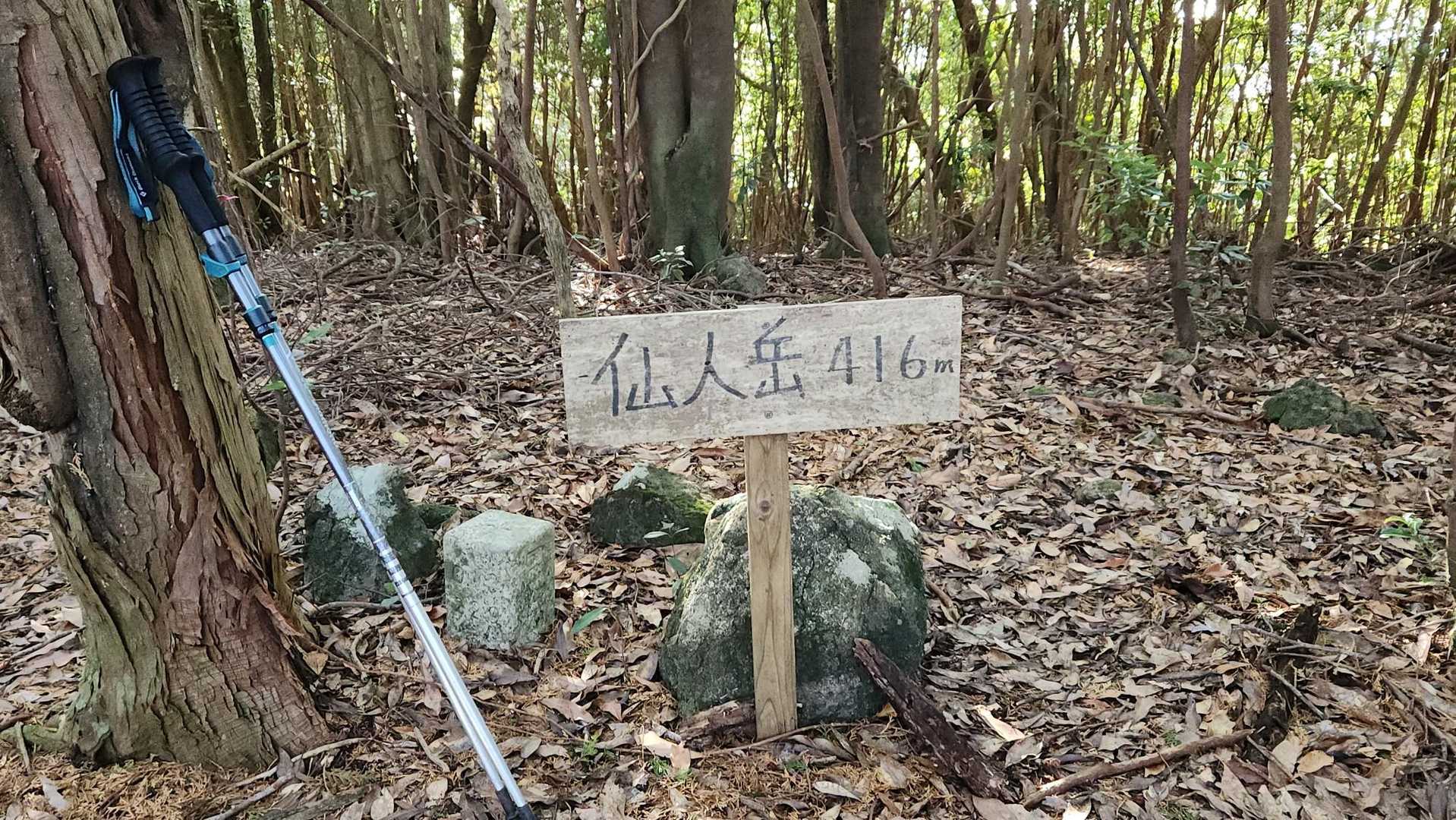 到着！