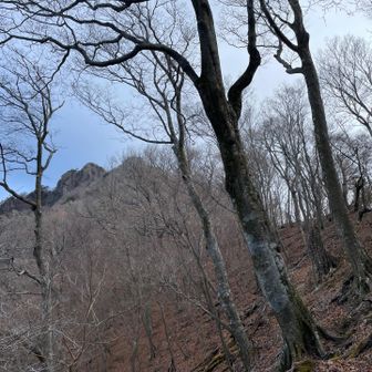 八丁越直前になると黒土でとにかく滑りまくりました
帰りのことを考えるととても不安です…