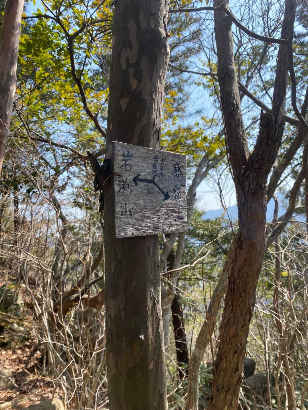 やっとのことで感応山手前の分岐。
ここまでもアップダウンの繰り返し。