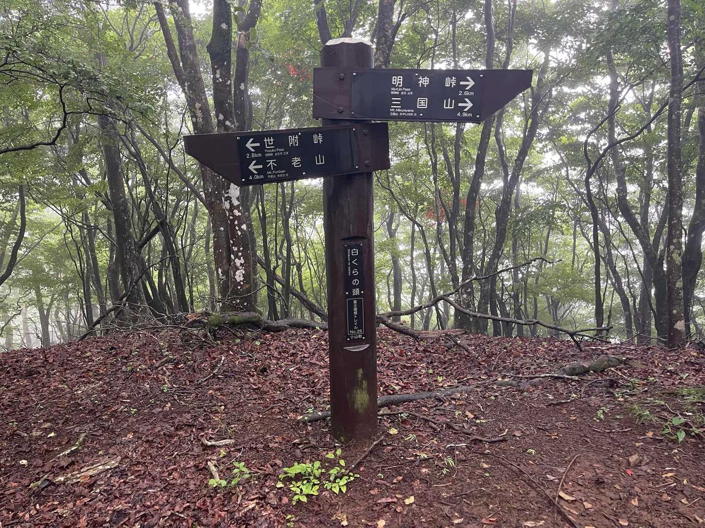 明神峠-明神山-湯船山-白クラノ頭 往復コースの写真