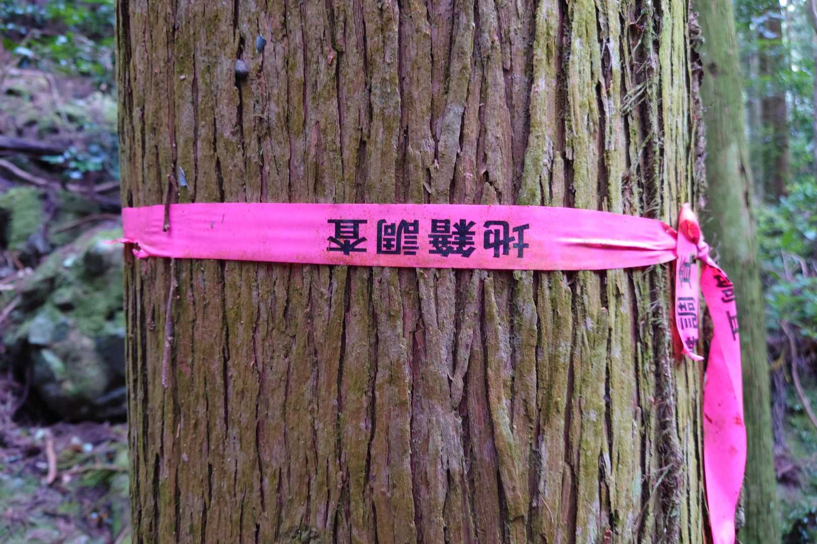このリボンと目印が混同されてわかりにくい