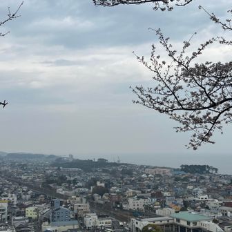曇り☁️江の島見えない👀