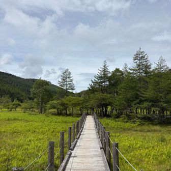 大阿原湿原の木道
こちらは花は無くてトンボを採取してる方がいました