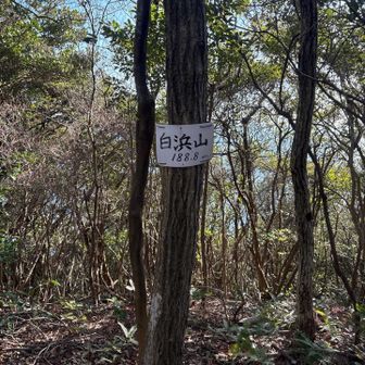 後でもう一回来ますね