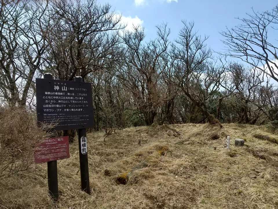 箱根山（神山）の写真
