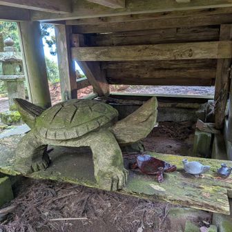 上宮下のカメ🐢ゆっくり行こう!