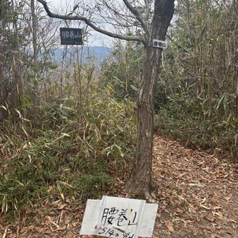 お天気はなんとかもって、腰巻山に到着
16人皆んなで輪になってお昼ごはん
なんか楽しい😀