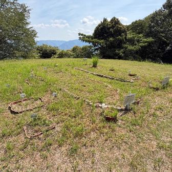 山頂、プレートも三角点も見つけれず💦