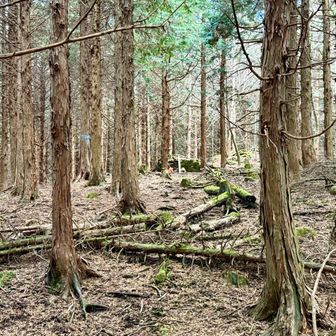 景観も何もない鬱蒼とした雰囲気💦