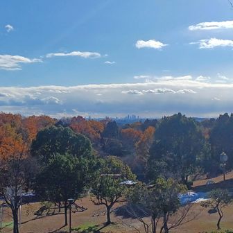 ひばりヶ丘公園より