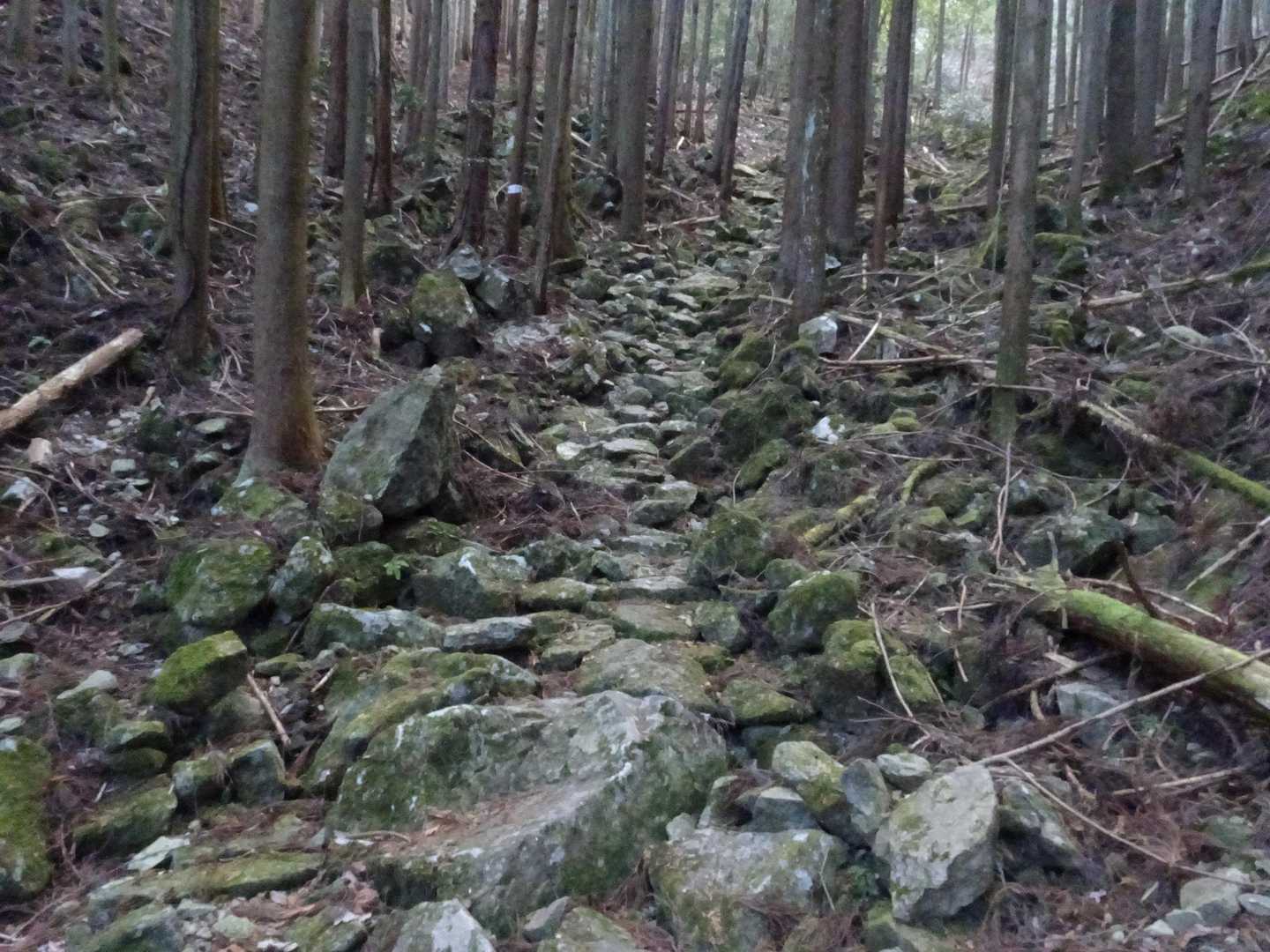 急な川床を歩いてる感じですが、きちんとした階段より歩き易い。