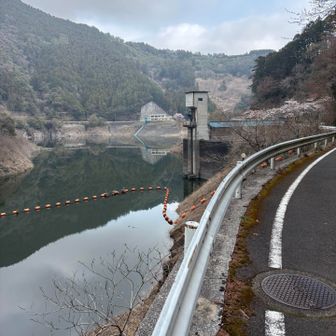 何処のダムに行っても水位が低い。
水不足を解消するのに、どのくらい雨が降れば
いいのか。何mm.  何日
