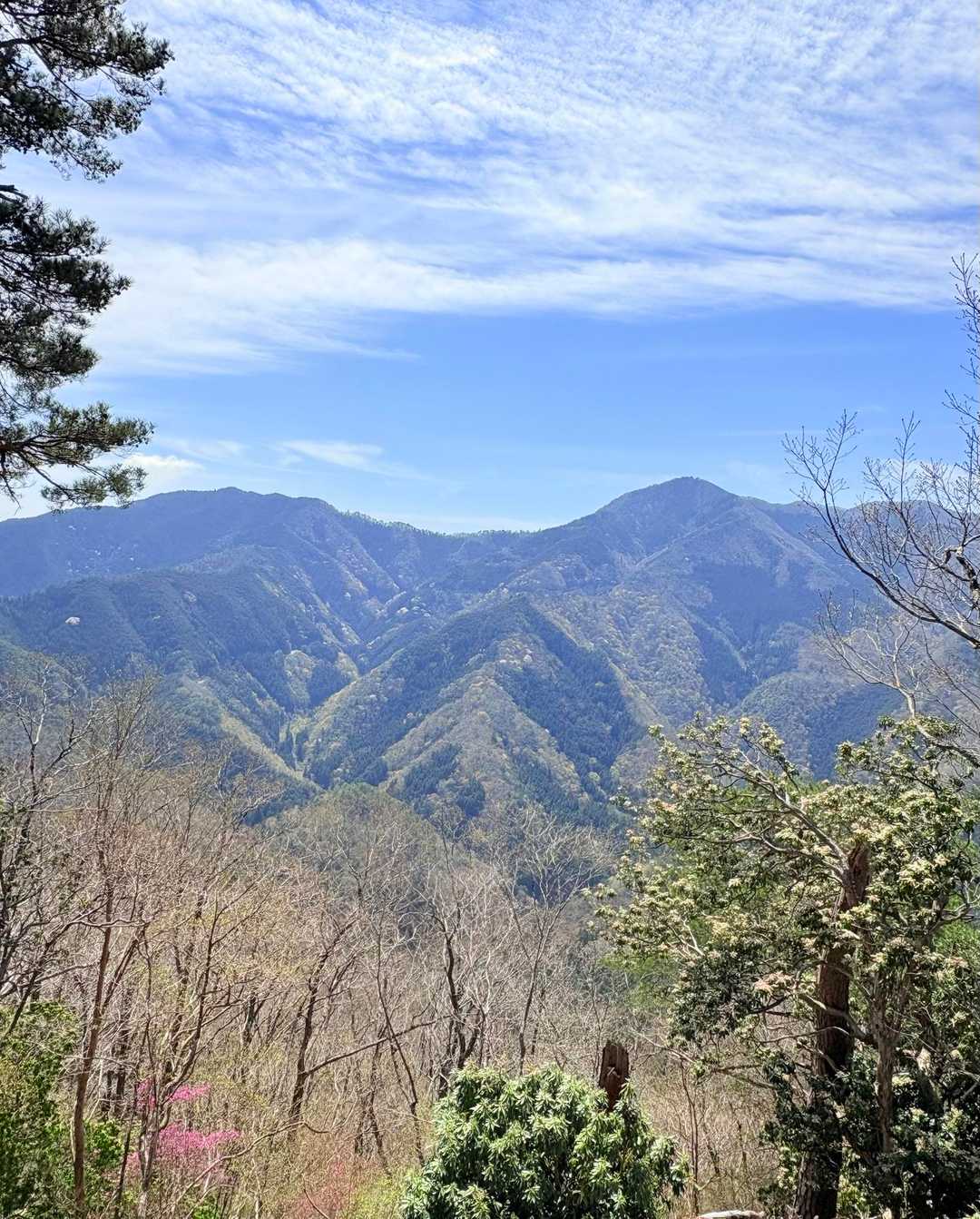 みづめ桜までの方が多い中、私達は御祓山山頂を目指します
尾根道からは山々の素晴らしい景色