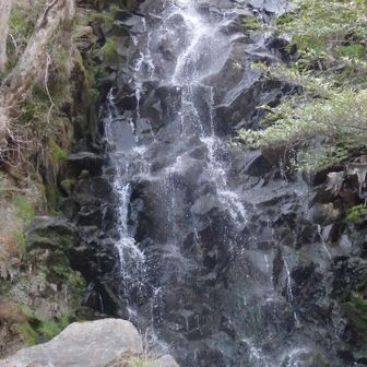飛竜ノ滝　水量が少ないので迫力はイマイチ。梅雨の頃が一番見ごたえある。