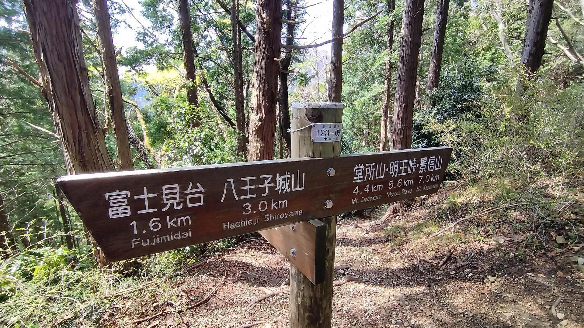 ②「精神的なストレス。山頂に向かって登り続ける方が目的がはっきりしている。アップダウンを繰り返すのは目的がはっきりしない」いわゆる削られるってヤツね(¯―¯٥)