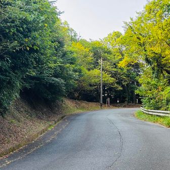 この道の左側にイノシシが寝ていたが、下山時には居なかった。