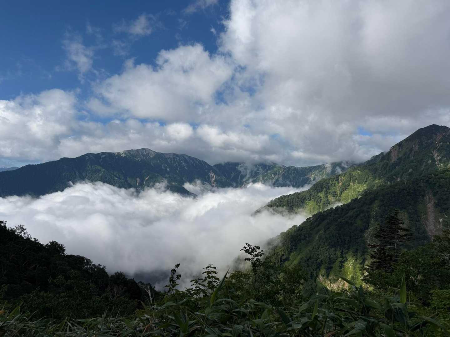 爺ヶ岳往復 | 柏原新道から稜線へ、剱岳と鹿島槍を一度に望む三峰の山の写真