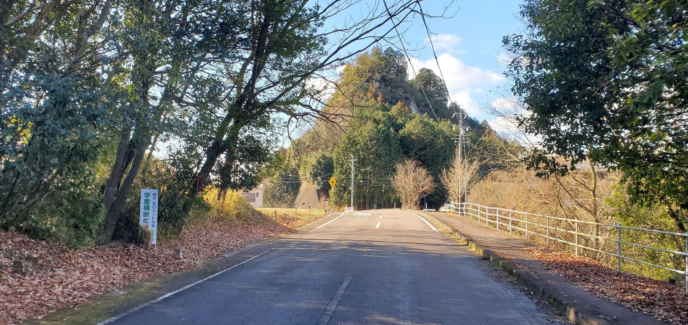 馬串山から下りてきました
左が米田白山登山口
正面が馬串山

正面の直登ルートを登って行かれる方々がいらっしゃいました
すごい～👏