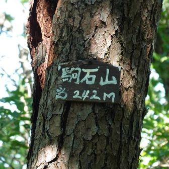 駒石山です
