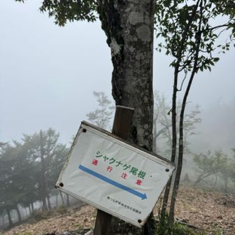 ガスガスなんで山頂はパス