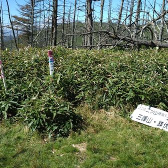 三角点があるだけの地味な山頂😥
さて、引き返します👣