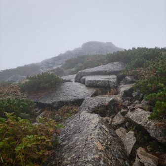 岩場もでてきて🎶