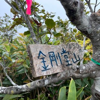 中金剛到着！
展望も無いから、奥は諦めて引き返す💦