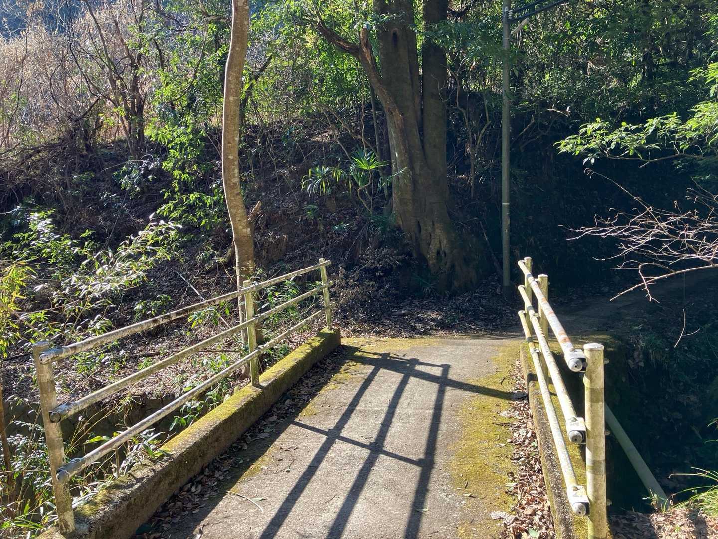 蝋梅の里に向けて少し道を外れます。