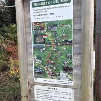 西川材は埼玉の県産材で、桧や杉が建築建材に使われています。
飯能、日高、越生、毛呂山の山が産地