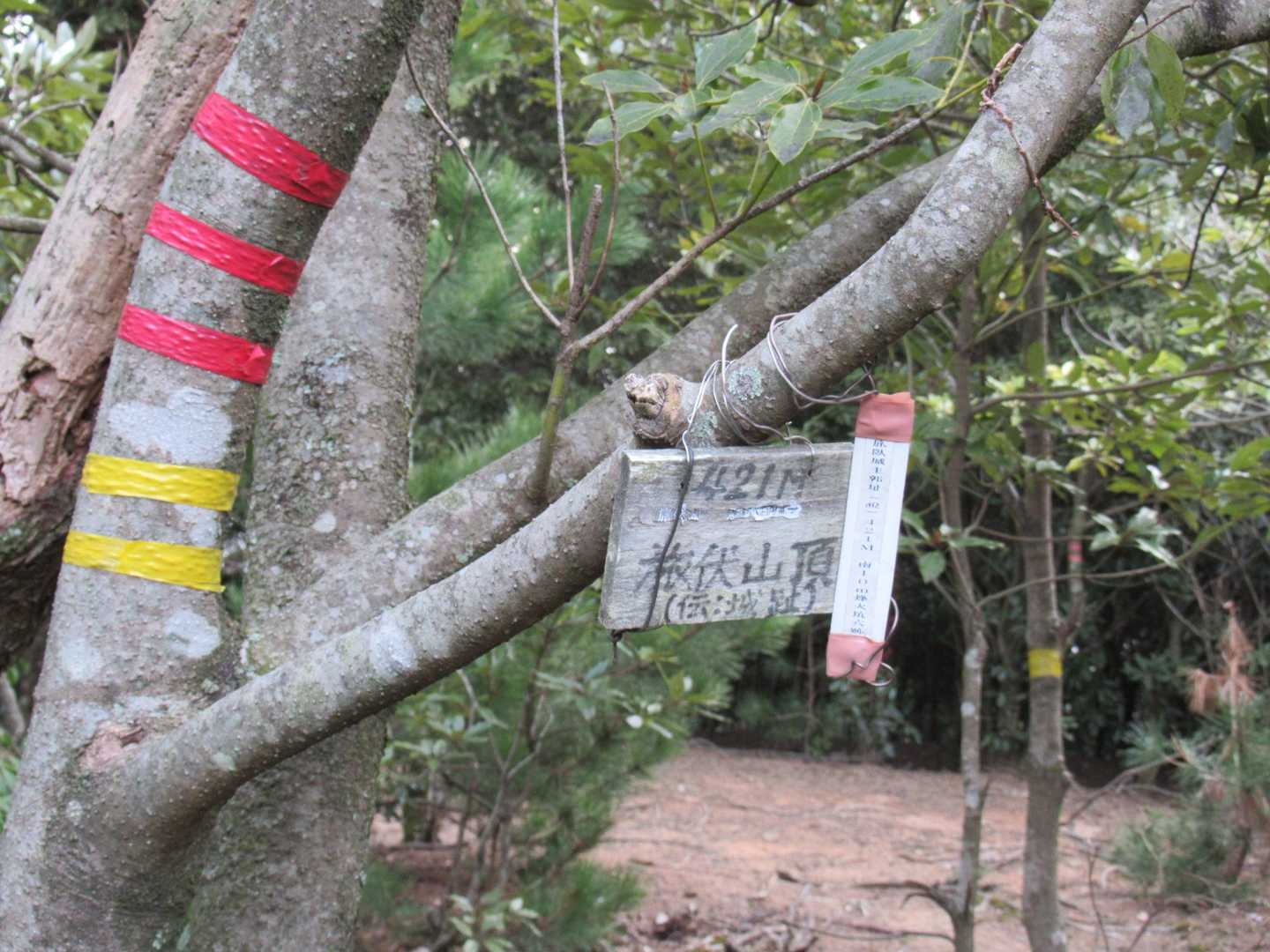 旅伏山登山口-旅伏峰 往復コースの写真