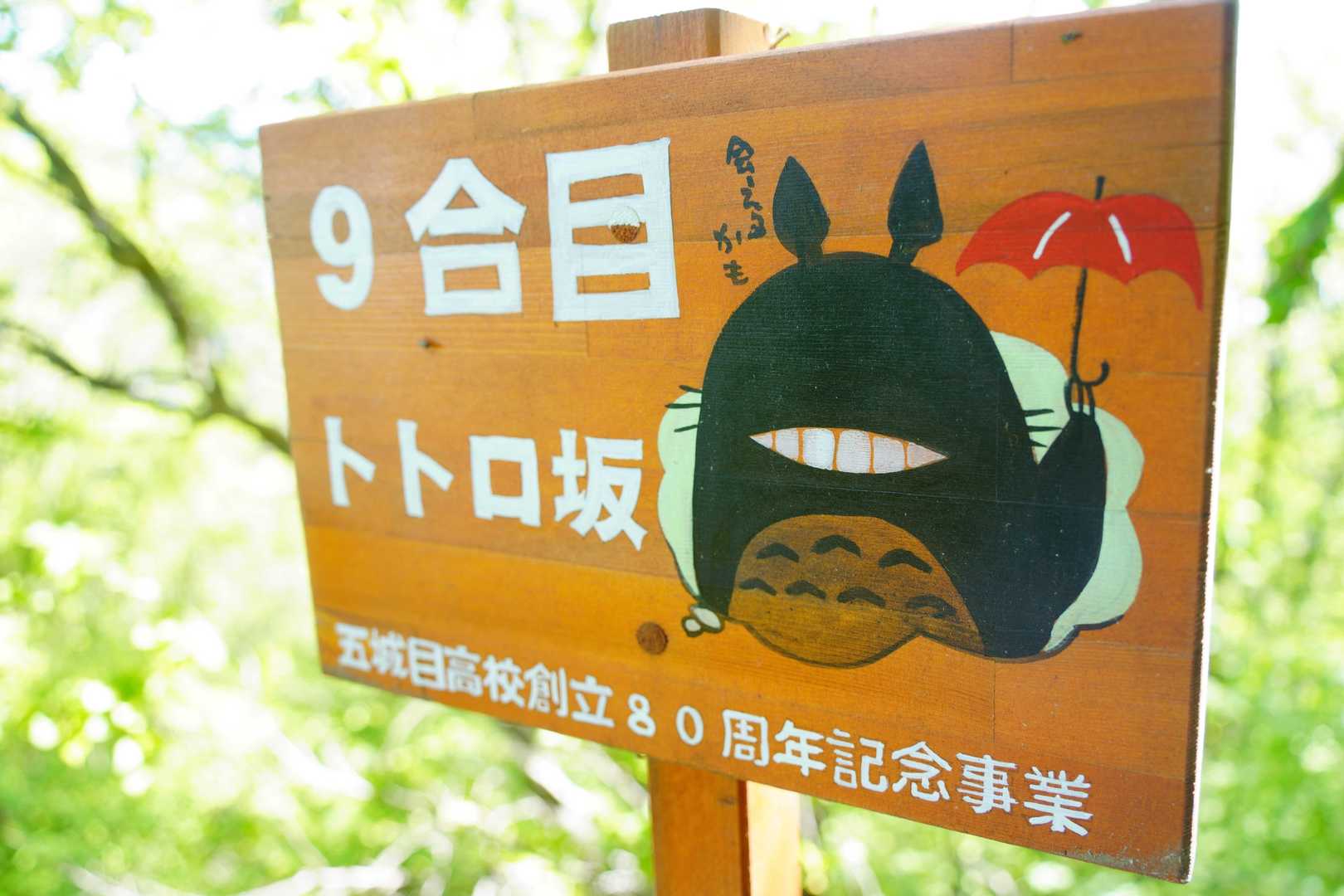 急登が落ち着いた頃、突如として現れるトトロ。
目がなくてちょっと怖いです。