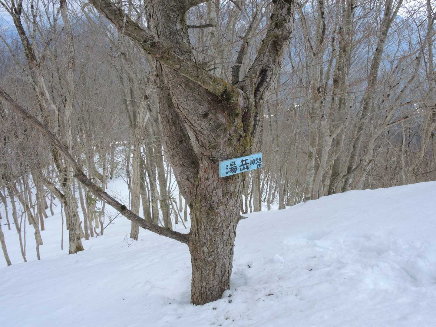 湯岳山頂に到着です。😀✌️
三角点は当然、雪の下ですよね❗😉🎶