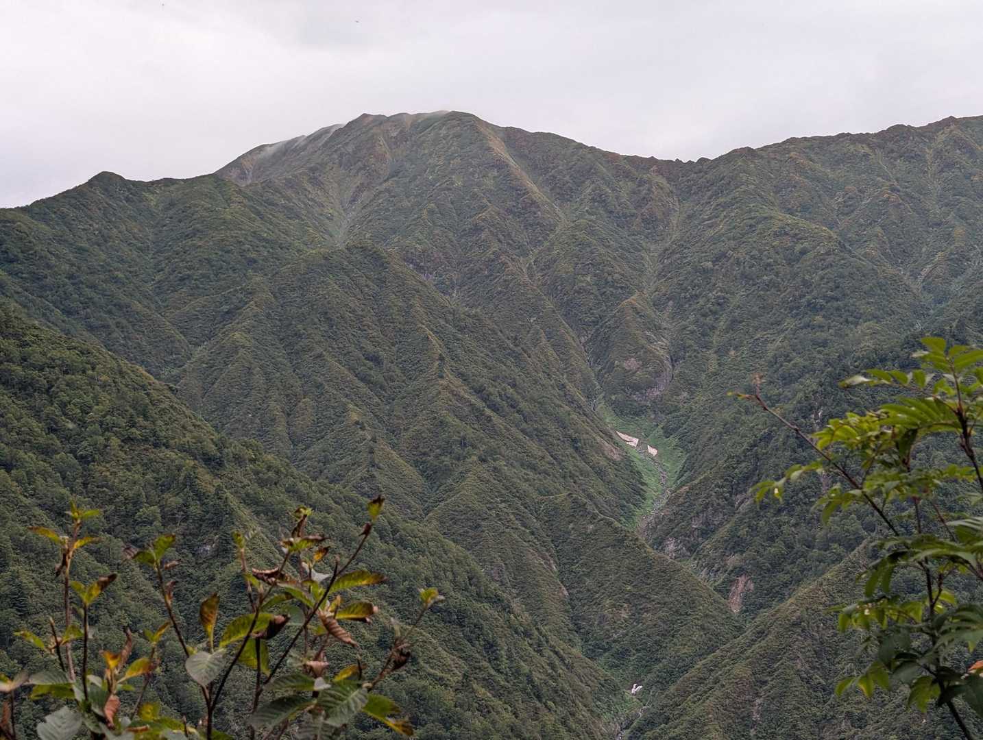 お隣は越後三山の中ノ岳　今日はずっと左手に見えてました。