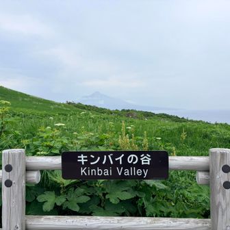キンバイの谷だけど、キンバイは何処
登山道の方がキンバイ祭り