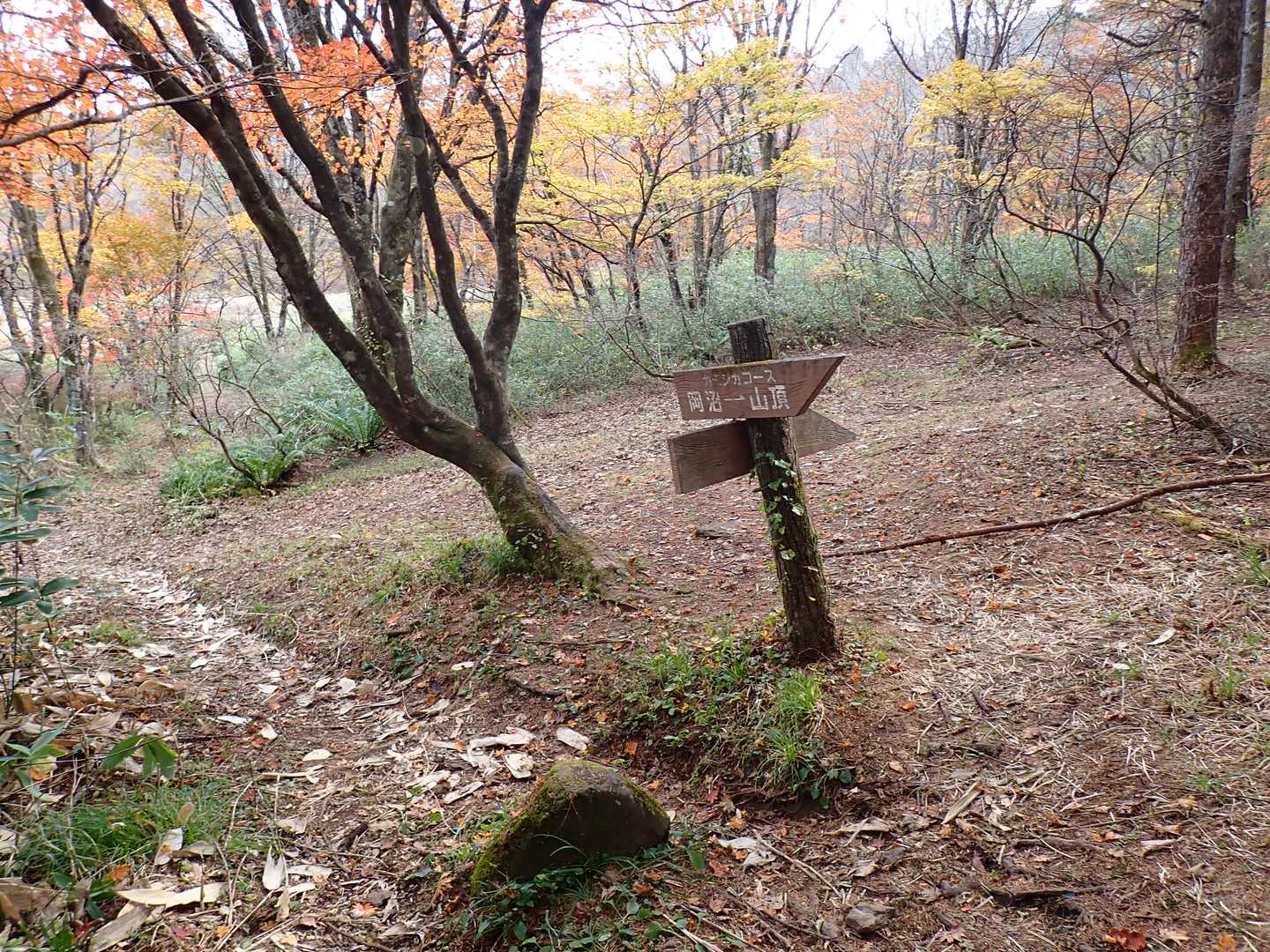 分岐はそのまま直進