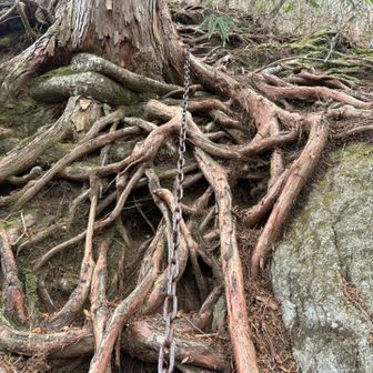 鎖場のオンパレード