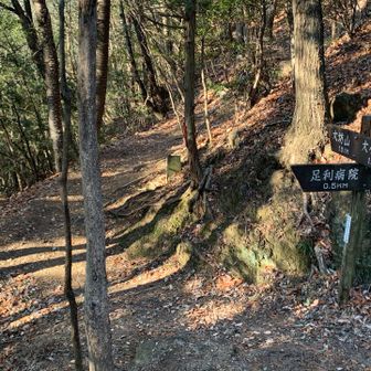 もしもの時は病院方面へエスケープ可能かな？