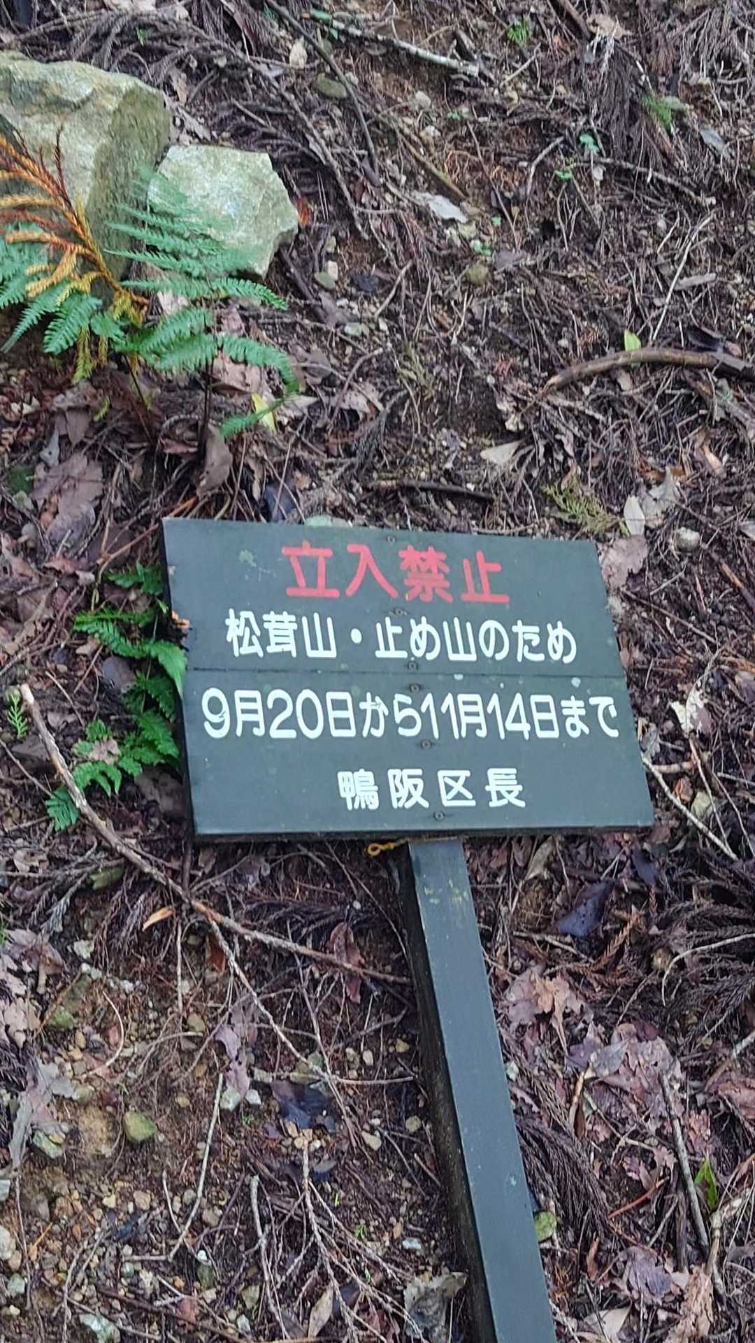 五台山登山口-鴨内峠-五台山 往復コースの写真
