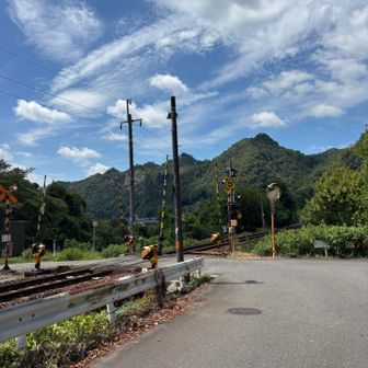 踏切を渡ります🚃