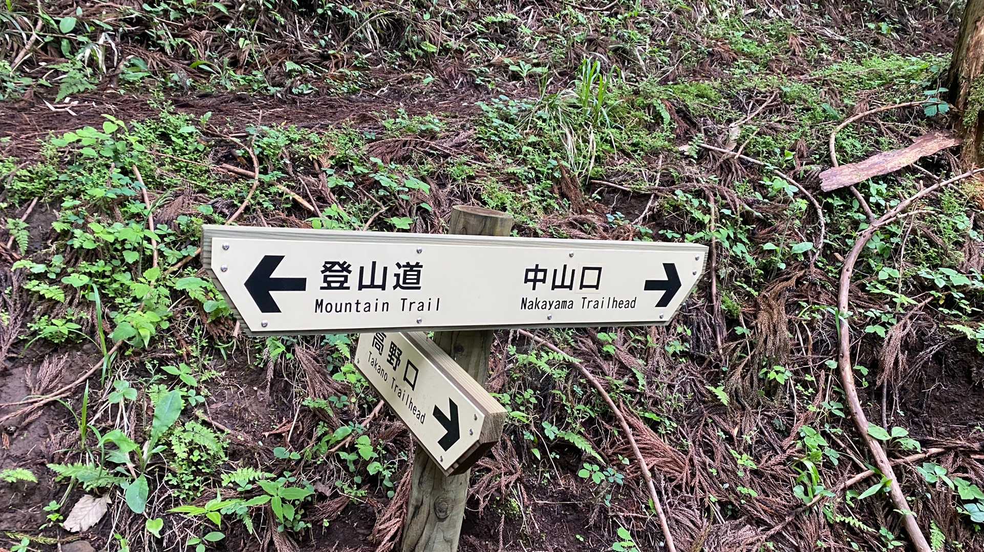 高野口方面へ👉