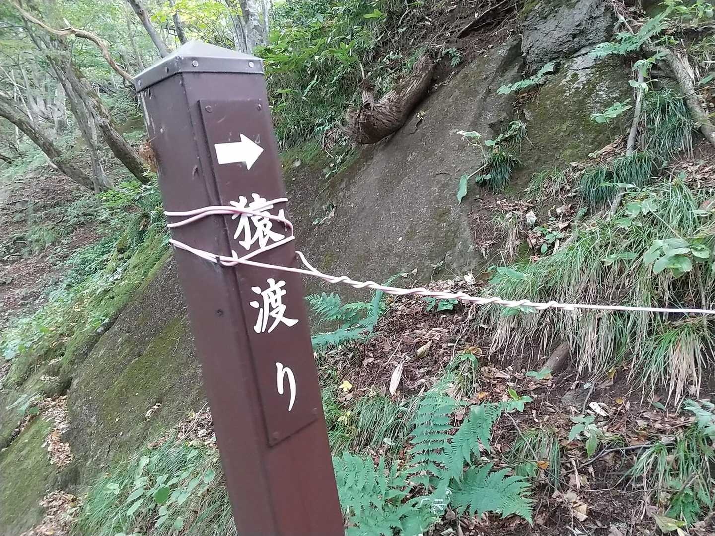 猿渡り、🐒いるのかな？