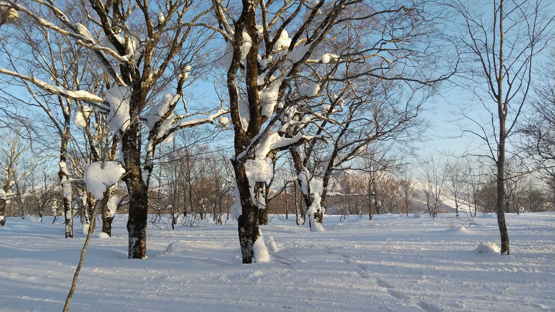 YAMAP地図上の石黒山 付近
何もない