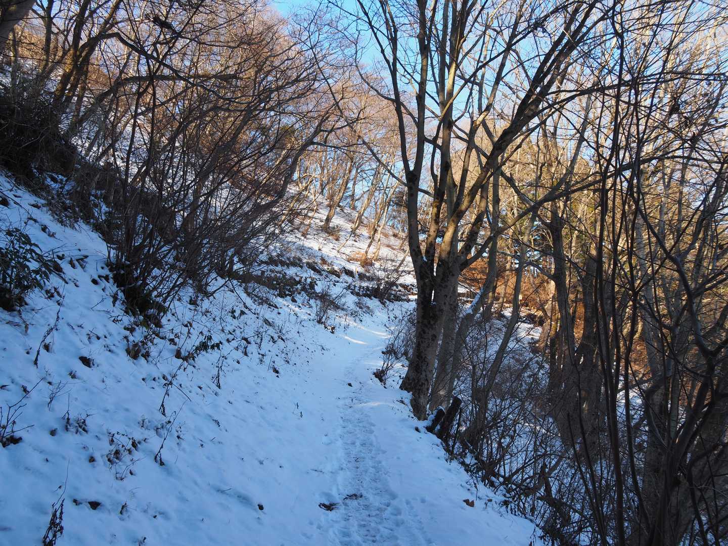 高取山-宮ヶ瀬越-仏果山 周回コースの写真