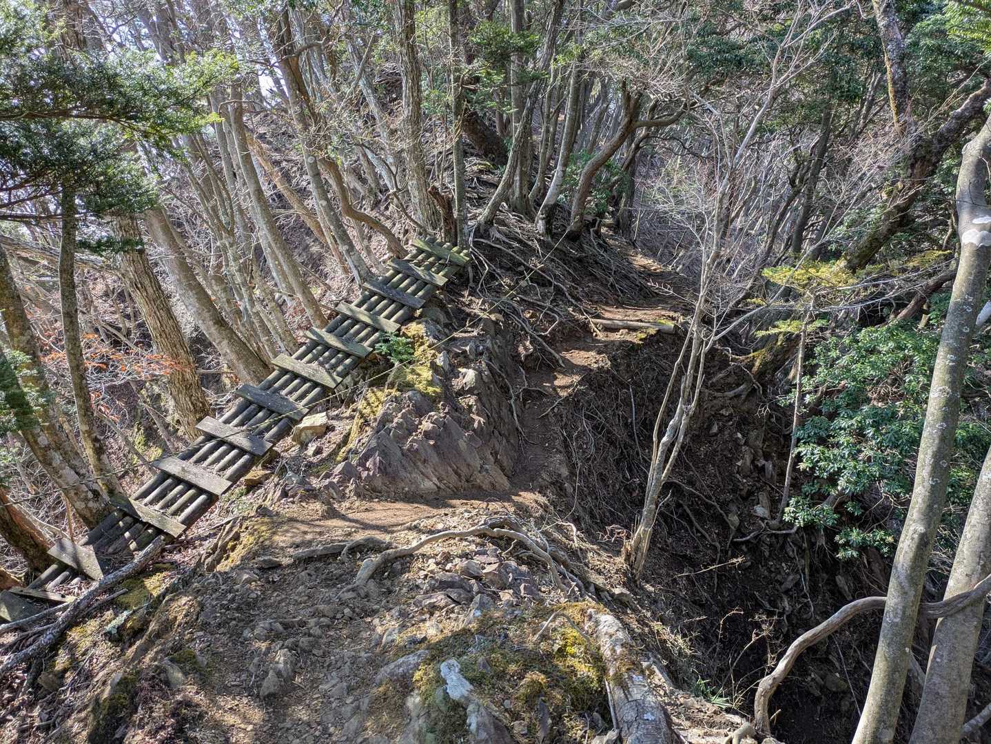 こんなとこも