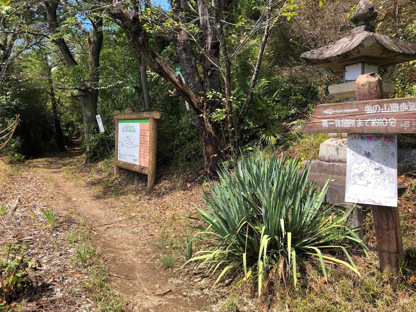 階段を登ると遊歩道に。