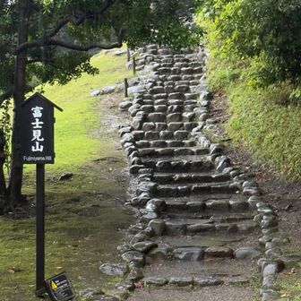 富士見山へ🧗
今日☝️急登⤴️
今日☝️山っぽい⛰️