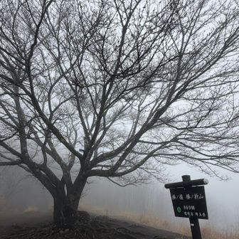 こんな景色も良き